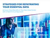 Strategies for Repatriating Your Essential Data